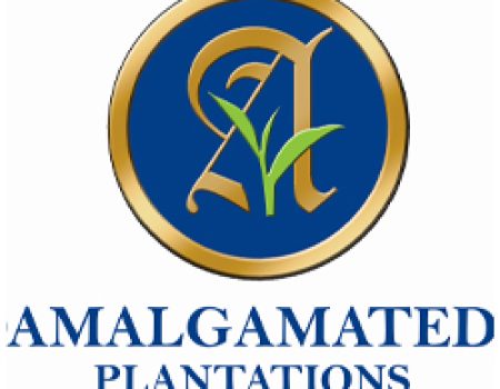 AMAAL LOGO 1